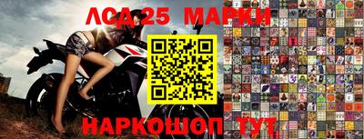 spice Кимры