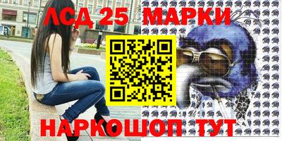 spice Кимры