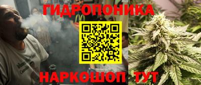 spice Кимры