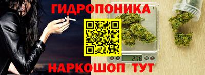 spice Кимры