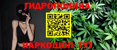 spice Кимры