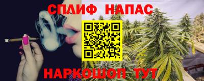 spice Кимры