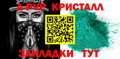 стаф Кинель
