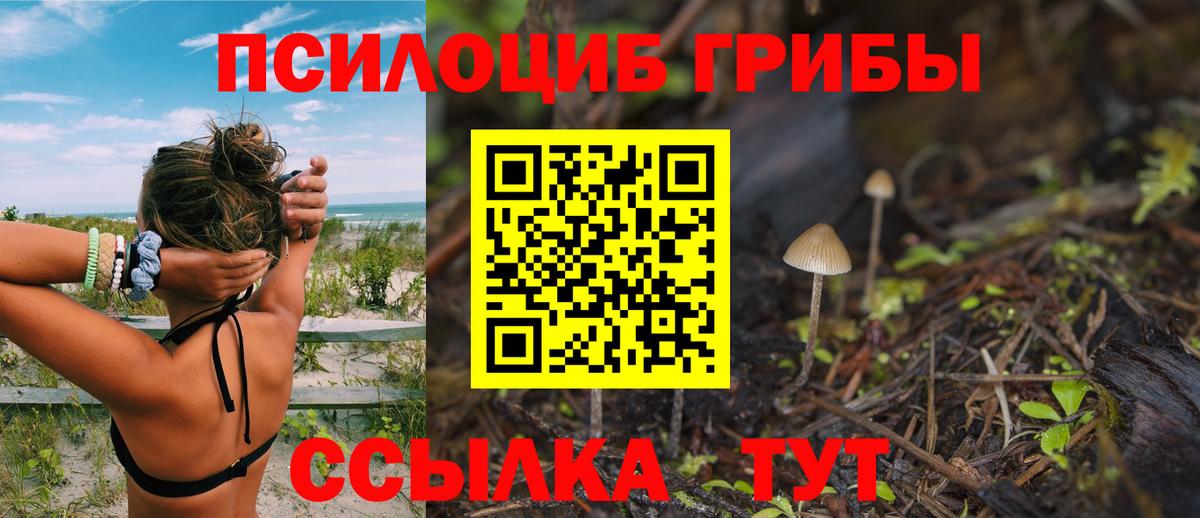 Галлюциногенные грибы ЛСД Невинномысск